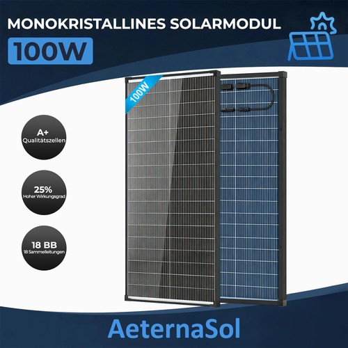 100w bifaziale solarpanel - 100w, glas